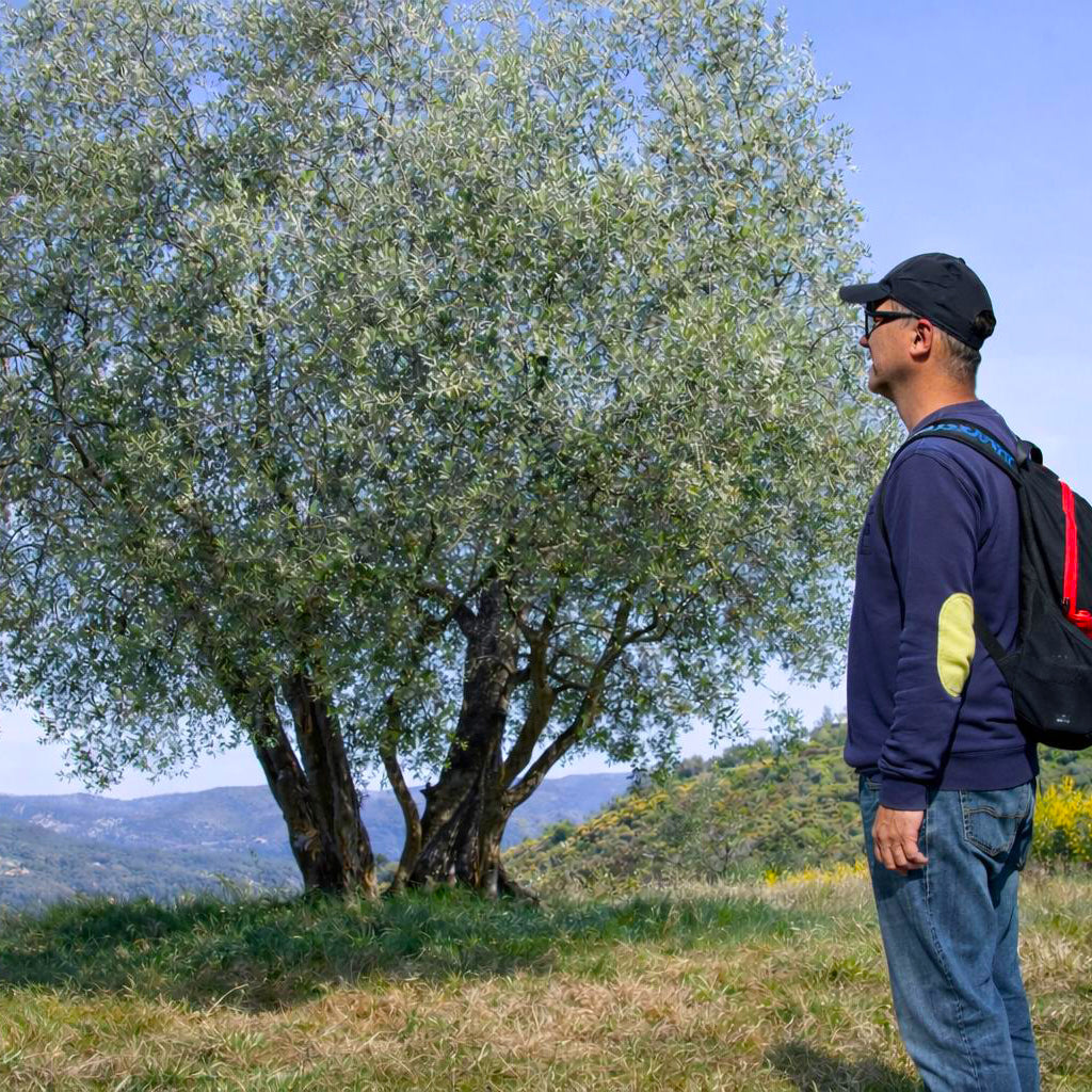 Gauthier Deli Vegan Luxury Set